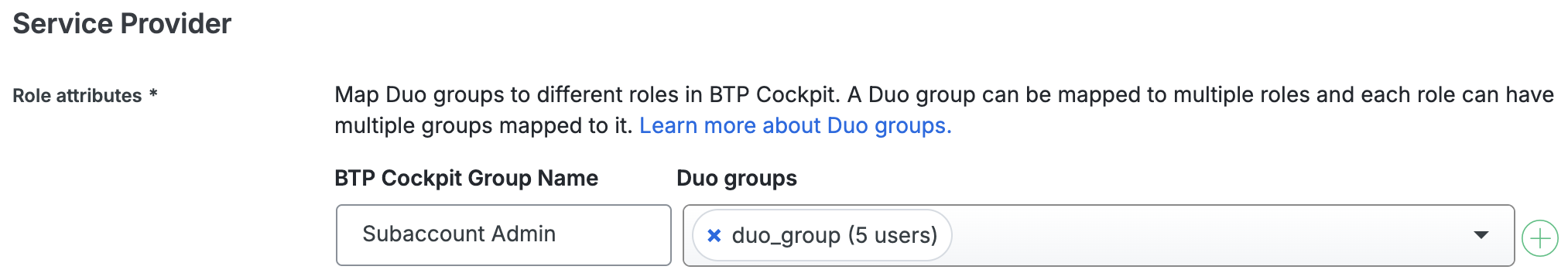 Duo SAP BTP Cockpit Group Mapping Fields