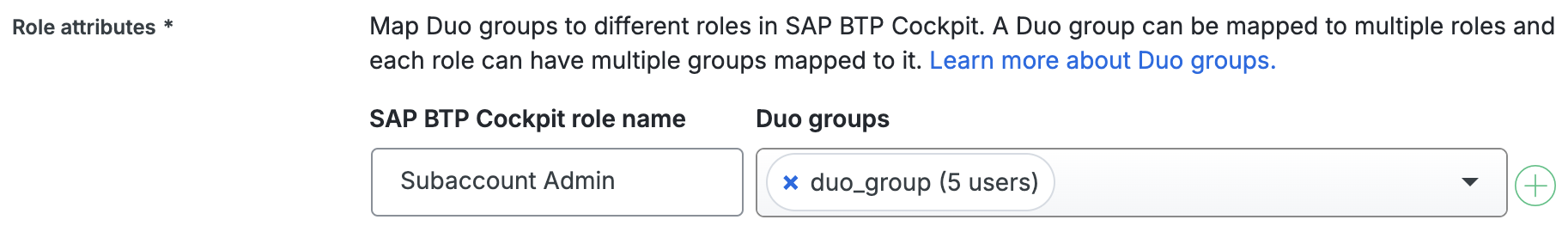 Duo SAP BTP Cockpit Group Mapping Fields