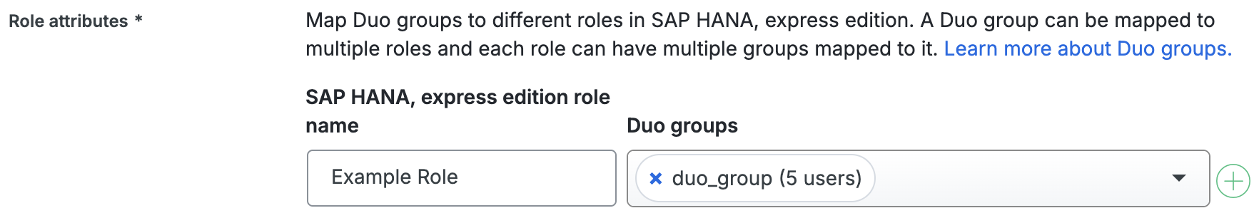 Duo SAP HANA, express edition Group Mapping Fields